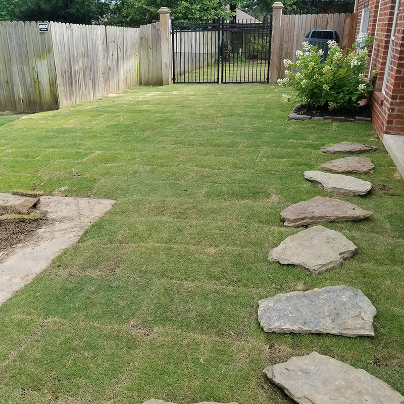 landscaping after professional work with stones and bush