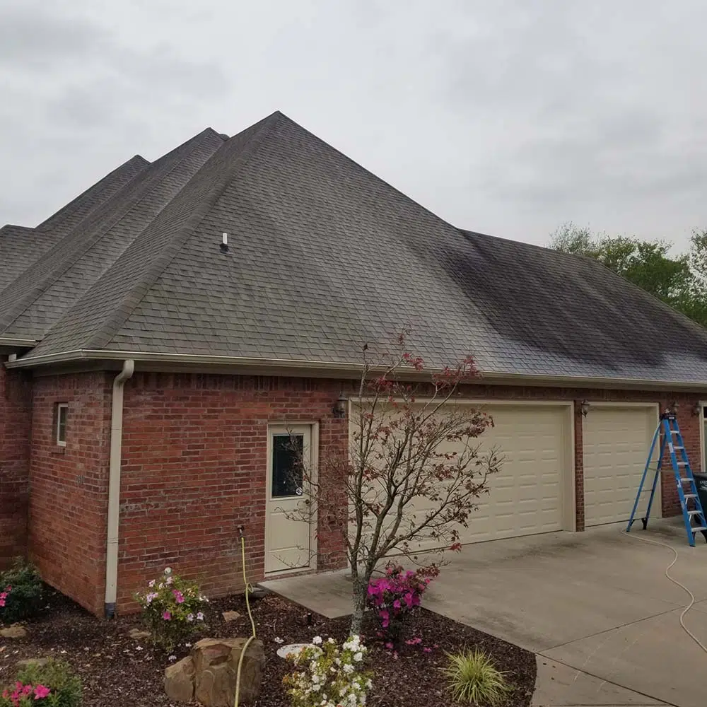 Professional House Washing