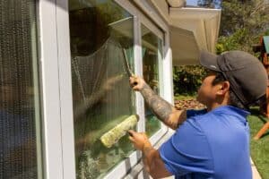 Professional Window Cleaner