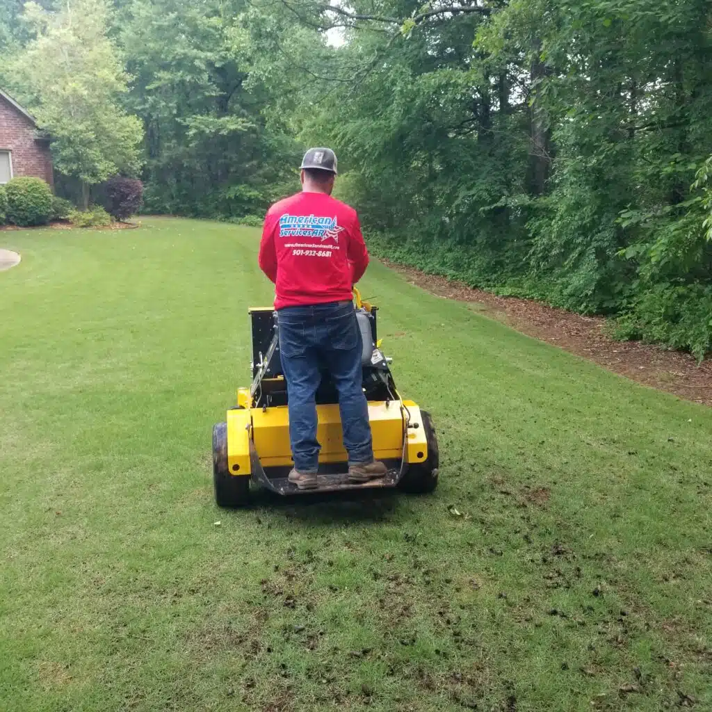 Leaf Cleanup 1 Leaf Cleanup