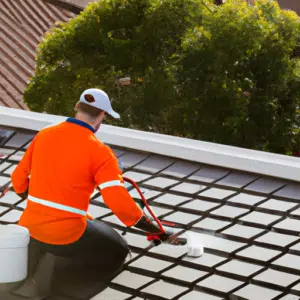 Best Roof Cleaning Services